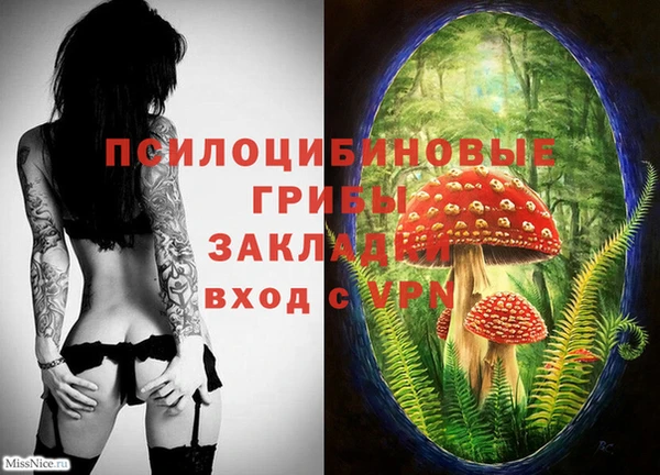 2c-b Абинск