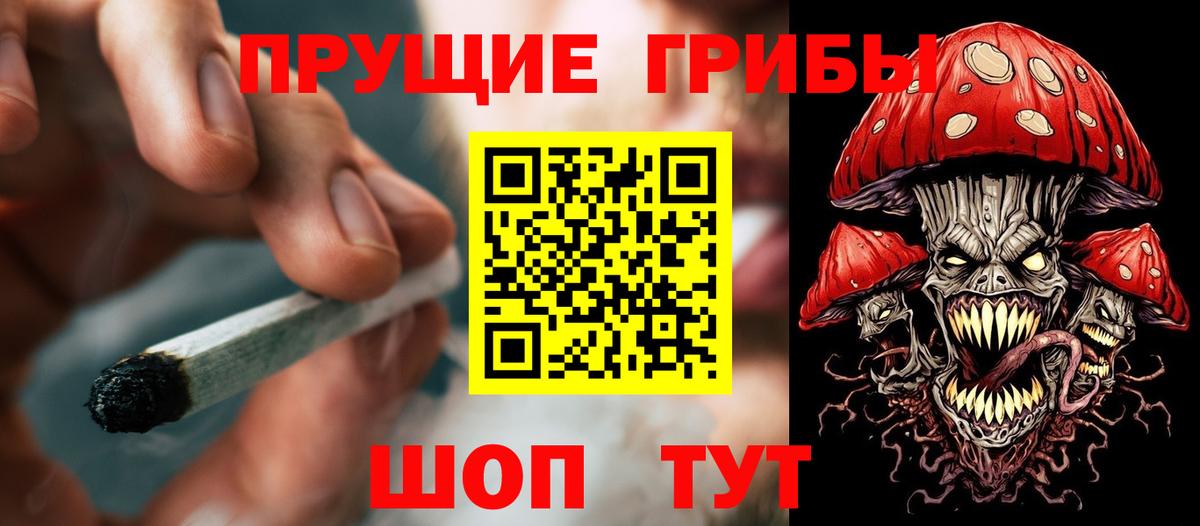 Александров  наркошоп  Вход с VPN  Псилоцибиновые грибы мицелий 