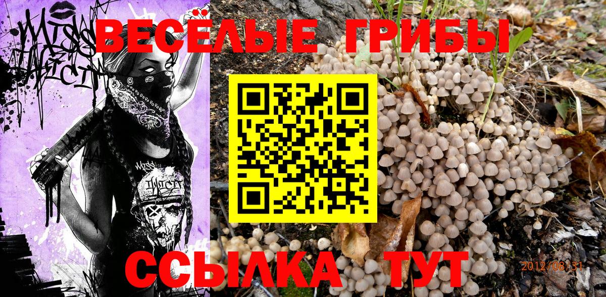 Псилоцибиновые грибы прущие грибы Александров